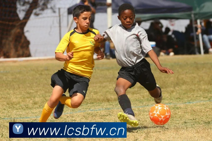 多媒体互动体验